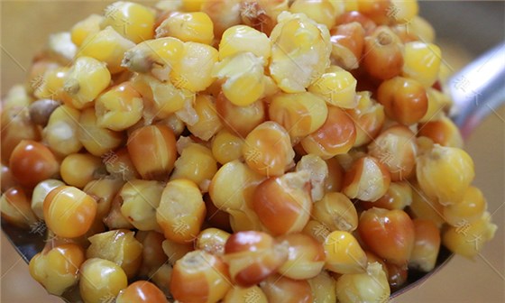 玉米蒸至開花率95%以上，外干內(nèi)軟