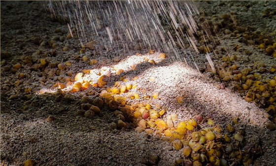 解密清香白酒的&ldquo;黃金搭檔 4