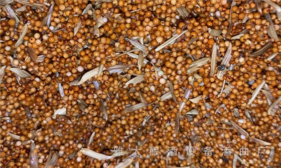 白酒苦味調(diào)控與風(fēng)味平衡，來自老師傅的釀酒經(jīng)驗分享 5