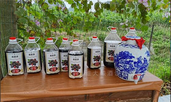 桑葚&ldquo;次果&rdquo;變黃金！低成本釀熱銷果酒，增收秘訣看這里！ 1