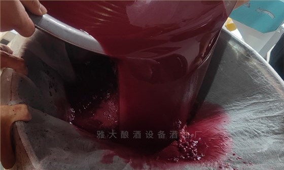 桑葚&ldquo;次果&rdquo;變黃金！低成本釀熱銷果酒，增收秘訣看這里！ 7