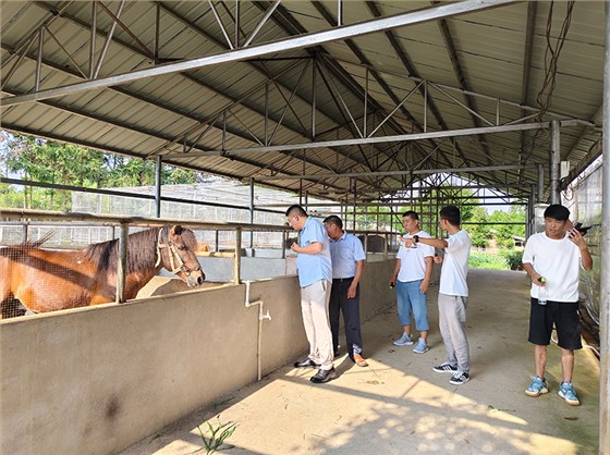 四兄弟返鄉(xiāng)干大事！一套智能設(shè)備帶火老酒坊，帶富一個(gè)村 3