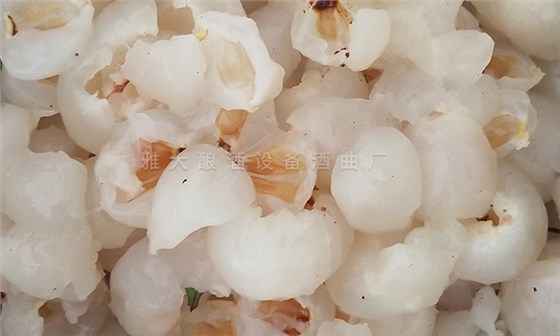 用果酒釀酒設(shè)備將滯銷荔枝釀成高端酒，利潤翻番！ 4