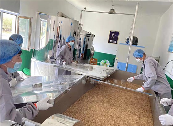 夏季釀酒衛(wèi)生指南：6招鎖死雜菌，保障口感與出酒率！ 5