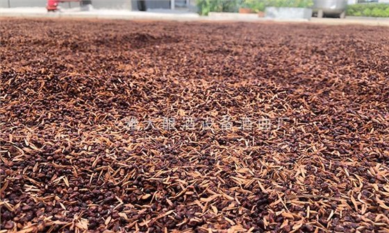 夏季釀酒衛(wèi)生指南：6招鎖死雜菌，保障口感與出酒率！ 6