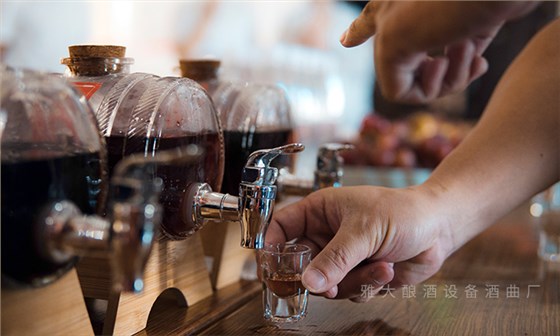 夏季水果大豐收！便宜水果釀成酒，好喝又好賣(mài)，趕緊抓住商機(jī)！ 5