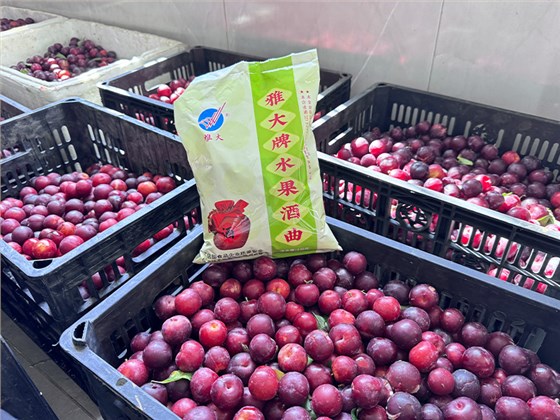 夏季水果大豐收！便宜水果釀成酒，好喝又好賣(mài)，趕緊抓住商機(jī)！ 10