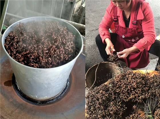 拐棗釀酒設(shè)備 2