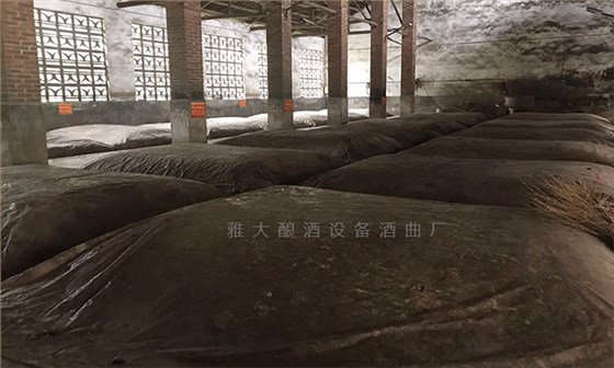 白酒的迷人香氣從何而來(lái)？一文讀懂背后的奧秘 5