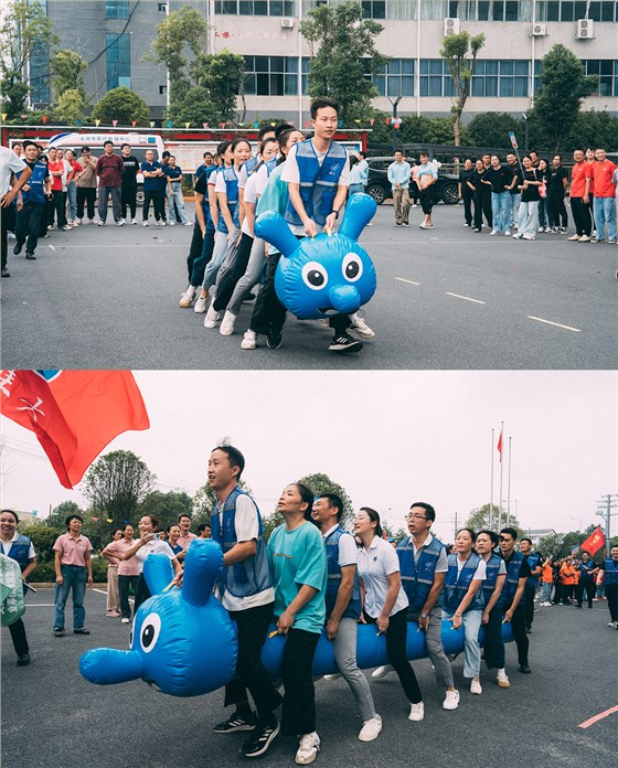 零陵高新區(qū)第四屆職工趣味運動會圓滿落幕 雅大智能勇奪雙冠 6