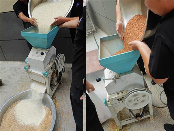 五糧酒釀造技術(shù)分享，整粒發(fā)酵 vs 粉碎發(fā)酵哪種工藝更好？ 2