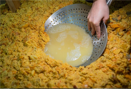 發(fā)酵第二天柿子酒