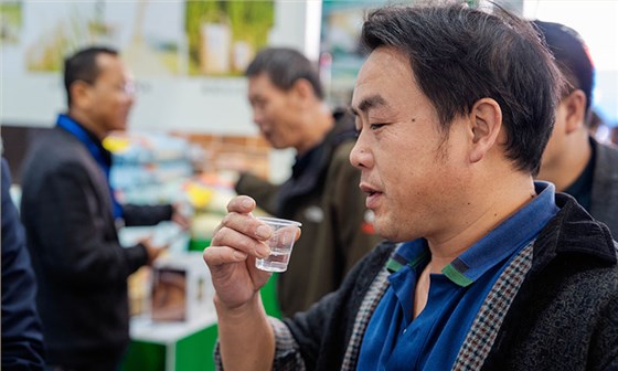 五糧液29度酒兩月破億：不是年輕人不喝白酒，而是你的酒不夠&ldquo;對(duì)味&rdquo; 3