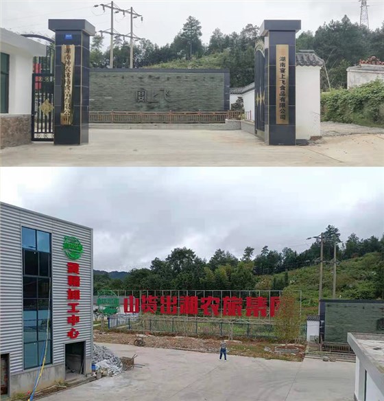 &ldquo;黃金&rdquo;出深山&mdash;&mdash;安化黃精酒產(chǎn)業(yè)發(fā)展鋪就鄉(xiāng)村振興之路 7