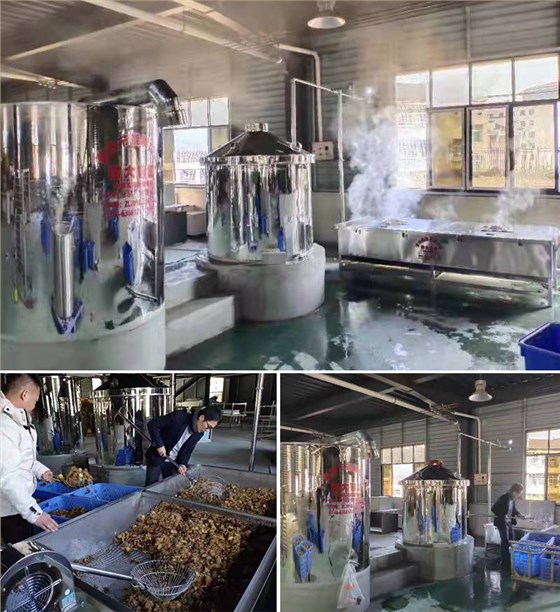 &ldquo;黃金&rdquo;出深山&mdash;&mdash;安化黃精酒產(chǎn)業(yè)發(fā)展鋪就鄉(xiāng)村振興之路 4