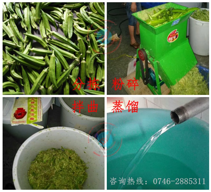 雅大黃秋葵酒工藝流程