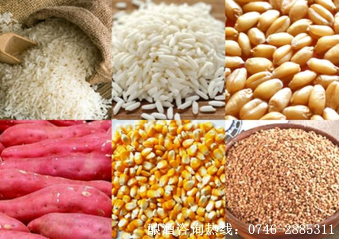 釀酒新人常見30問&mdash;&mdash;糧食/酒曲/發(fā)酵桶選擇篇