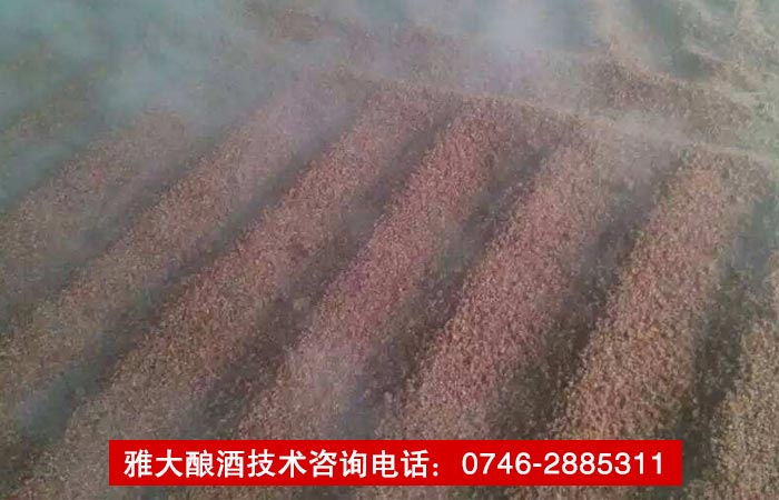 【釀酒技術(shù)】傳統(tǒng)固態(tài)釀酒技術(shù)&mdash;&mdash;攤糧