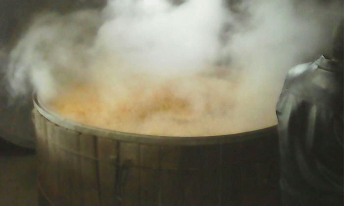 【釀酒技術】固態(tài)發(fā)酵玉米酒&mdash;&mdash;初蒸