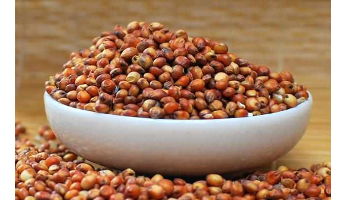 釀酒新人常見30問&mdash;&mdash;糧食/酒曲/發(fā)酵桶選擇篇