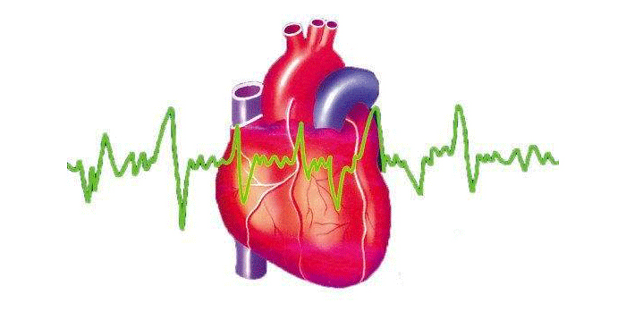 【白酒設(shè)備】適當(dāng)喝純糧白酒的好處有哪些？