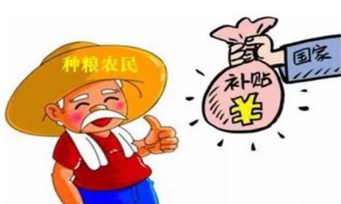 【白酒生產(chǎn)設(shè)備】主糧的保護價收購需貫徹