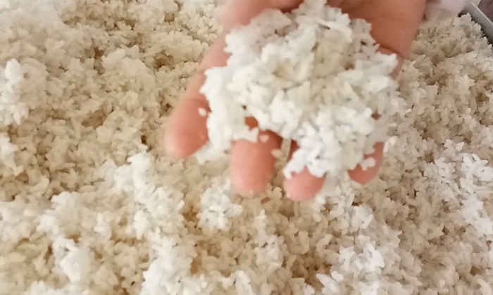 福建米酒&ldquo;蕞具傳統(tǒng)技法&rdquo;的釀酒環(huán)節(jié)&mdash;拌酒曲