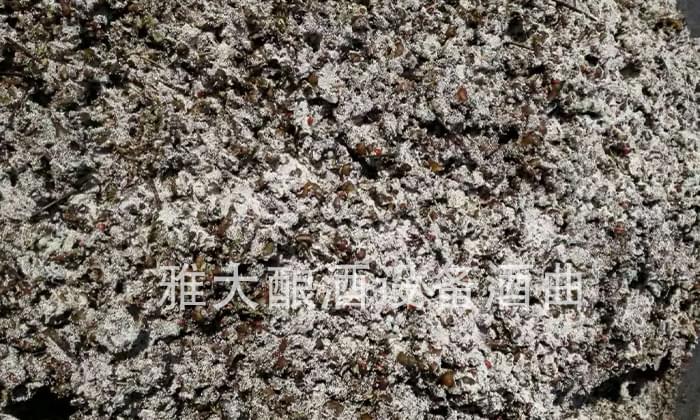 【蒸酒設(shè)備】特色酒拐棗酒釀酒技術(shù)&mdash;&mdash;拐棗打碎加酒曲