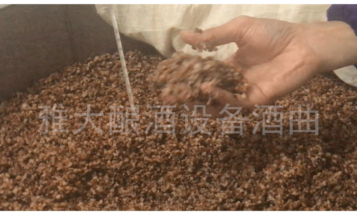 釀酒設(shè)備廠家提醒釀酒高粱選擇有講究！
