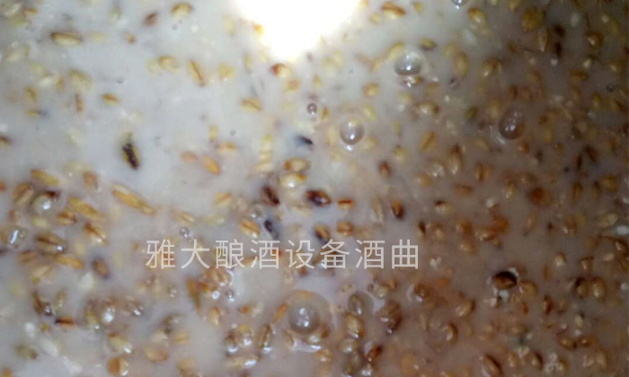 「釀酒設(shè)備廠家」青稞發(fā)酵酒的工藝流程&mdash;&mdash;青稞發(fā)酵