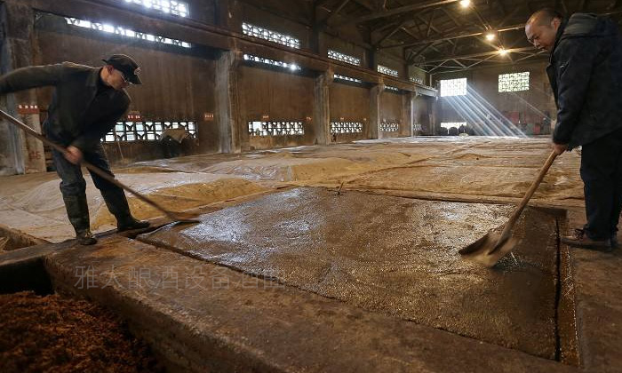 酒苦影響純糧白酒的銷售？雅大釀酒設(shè)備送上解決方案 3