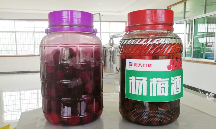 楊梅酒越陳越香是驚天謊言！但用白酒釀造設(shè)備燒的陳酒泡就對了！1