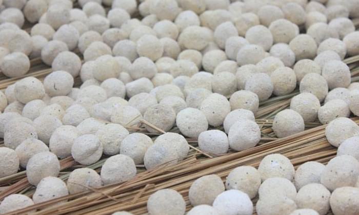 酒曲到底是什么&ldquo;東東&rdquo; 可將糧食轉(zhuǎn)化成酒而不是其他物質(zhì)？4