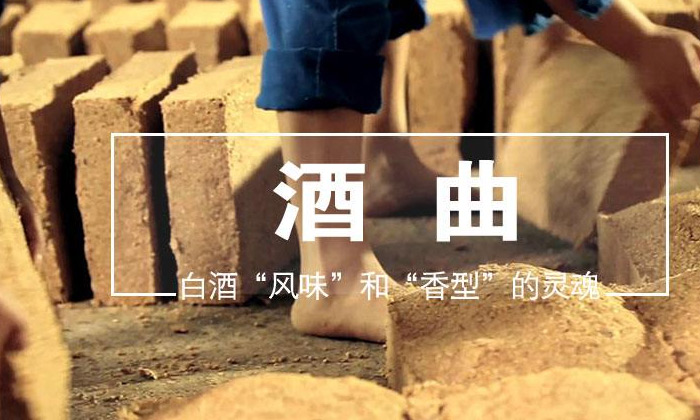 喝酒是否上頭口干，跟酒曲的好壞有直接關(guān)系嗎？03