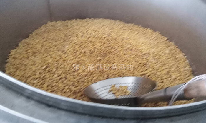 4步教您用糧食釀酒設備做固態(tài)玉米酒，純實操！-03