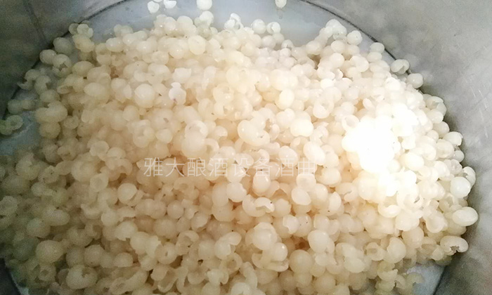 純實(shí)操！雅大大型釀酒設(shè)備釀酒師教泰國(guó)華裔制作龍眼酒-04