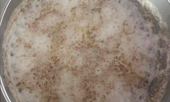 純實(shí)操！雅大大型釀酒設(shè)備釀酒師教泰國(guó)華裔制作龍眼酒-07