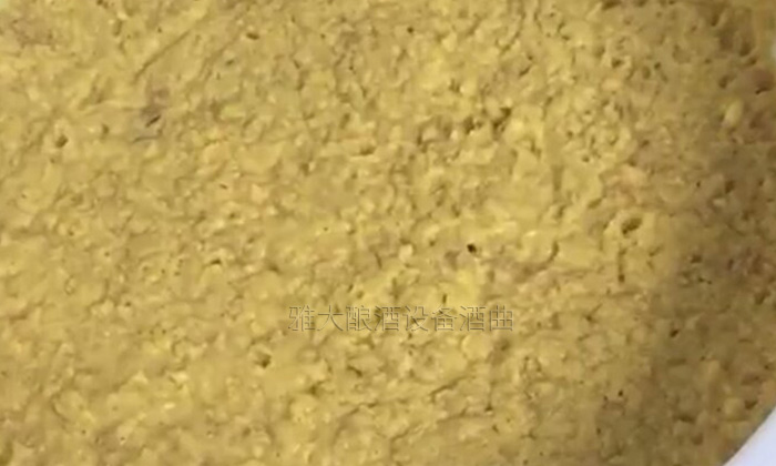 大型釀酒設(shè)備怎樣做出好喝的紅薯酒？紅薯釀酒方法！-06-紅薯釀酒發(fā)酵