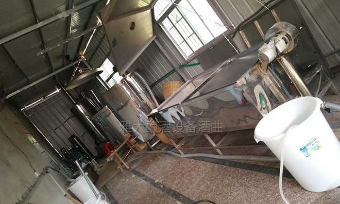 用雅大大型釀酒設(shè)備做薏米酒1年，日均營(yíng)業(yè)額達(dá)8000元的秘密-05-薏米酒案例2套500斤的設(shè)置