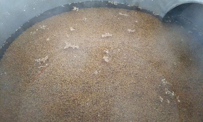 「釀酒教學(xué)」7步教您用專業(yè)釀酒設(shè)備做固態(tài)小麥酒，純實操！-02-小麥-泡糧