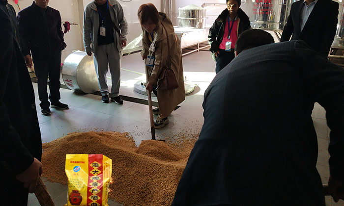 「釀酒教學(xué)」7步教您用專業(yè)釀酒設(shè)備做固態(tài)小麥酒，純實操！-04-小麥釀酒加入雅大高產(chǎn)酒曲