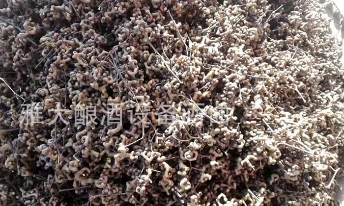 民間用小型白酒釀酒設(shè)備釀了40年的拐棗釀酒經(jīng)驗，步驟都告訴你！-03