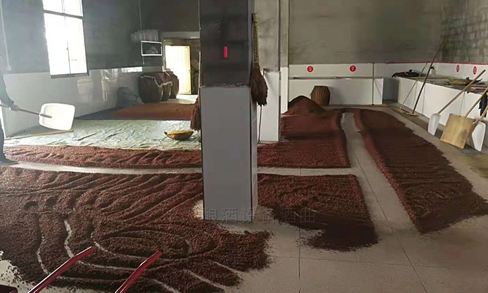 饒總用專業(yè)釀酒設(shè)備做洞藏酒，半年后洞天醇成為當(dāng)?shù)卣信坡糜尉包c(diǎn)-08