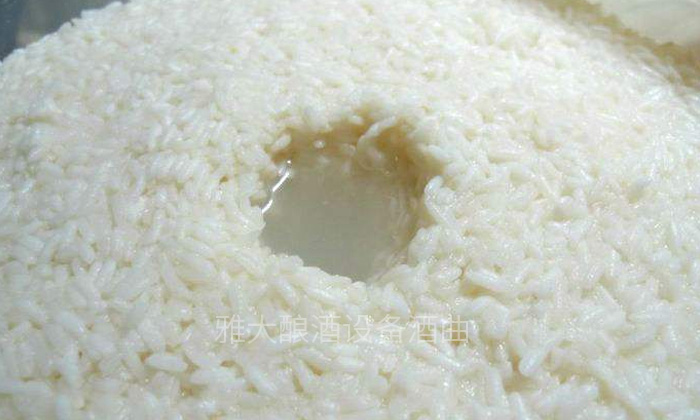 9步用專業(yè)釀酒設備做出傳統(tǒng)江西客家米酒，客家米酒傳統(tǒng)老工藝-06-米酒發(fā)酵1