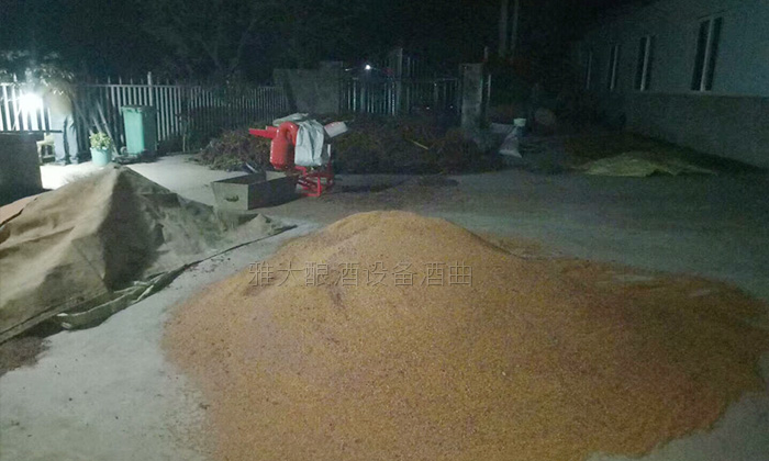 50歲高阿姨借助不銹鋼釀酒設(shè)備，帶領(lǐng)當(dāng)?shù)匕傩瞻l(fā)家致富-07