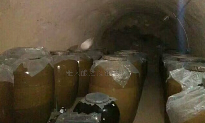 50歲高阿姨借助不銹鋼釀酒設(shè)備，帶領(lǐng)當(dāng)?shù)匕傩瞻l(fā)家致富-09