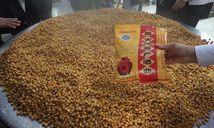 做酒設(shè)備釀造五糧酒的5個(gè)小妖精，到底有什么特有之處？-06-玉米釀酒下酒曲