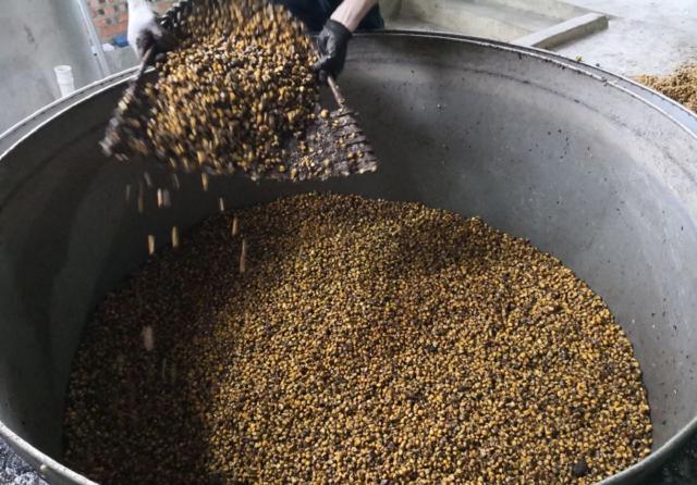 用中型釀酒設(shè)備蒸餾固態(tài)白酒，這樣蒸才能去苦增香&mdash;&mdash;裝甑-01