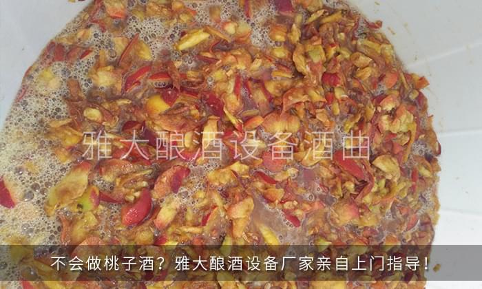 28-不會做桃子酒？雅大釀酒設(shè)備廠家親自上門指導(dǎo)！2