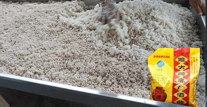 用雅大高產酒曲，發(fā)酵穩(wěn)定、出酒率高